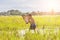 Young agriculturist fishing in swamp