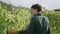 Young agriculturist walking vineyard touching yellow leaves back view close up.