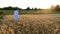 young agronomist scientist in a white coat walks through a wheat field at sunset