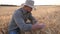 Young agronomist sits at cereal meadow and explores wheat ears of crop. Male farmer examines ripe barley stalks at grain