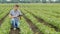 A young agronomist works in the field, inspects soya bushes. Uses a digital tablet