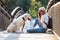 Young amateur photograph woman taking a photo of her dog sitting on a bridge in the park