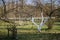 young apple trees in the garden with white trunks