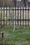 young apple trees in the garden with white trunks