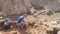 Young archeologist works on an archaeological site