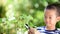 Young Asian boy looking at young seedling plant