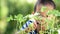 Young Asian boy looking at young seedling plant