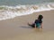 Young asian child, girl staring at the waves on beach