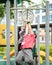 Young asian children hang on the monkey bar. To exercise at outdoor playground in the neighbourhood