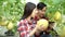 Young Asian couple of farmers using a digital tablet in their greenhouse melon farm