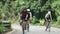 young asian cyclists riding bicycles on rural road