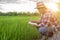 Young Asian farmer checking his green rice field and make a report on notebook