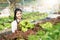 Young Asian farmer pretty girl working in vegetables hydroponic farm with happiness. She is looking and using hands