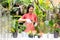 Young asian gardener woman care plant flower in garden.