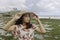 A young Asian girl wearing a beach hat is relaxing on the blue sky beach at Gunungkidul, Indonesia