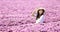 Young Asian lady in white dress sitting in the pink chrysanthemum flower field meadow in the countryside with copy space