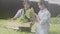 Young asian man and customer picking vegetables to basket in hydroponic system organic lettuce farm.