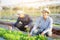 Young asian man farmer shovel dig fresh organic vegetable garden in the farm