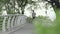 young asian man jogging running exercising outdoors in park