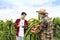 young asian man researcher interview senior man farmer and checking quality of dragon fruits with technology on tablet
