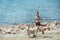 young asian sportswoman running with golden retriever