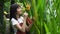 Young asian woman in apron watering flowers by foggy spray bottle in garden.gardener planting.  florist gardening