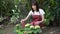 Young asian woman in apron watering flowers by foggy spray bottle in garden.gardener planting.  florist gardening