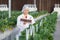 Young asian woman check cultivation strawberry with happiness for research and writing notebook in farm.