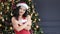 Young Asian woman wearing Santa Claus suit and hat smiling in background amazing Christmas tree