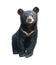 Young asiatic black bear isolated