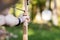 Young Athlete Aiming Arrow At Target Board In Forest