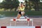 Young athlete jumping over a hurdle during training on race trac