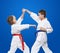 Young athletes train blocks and kicks of karate