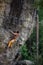 Young athletic male rock climber climbing cliff wall. Copy space on the right.