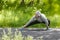 Young athletic man doing stretching exercises, outdoor. Healthy man working out in park