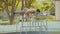 Young athletic shirtless man doing exercises on parallel bars at recreation park