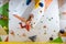 Young athletic woman jumping on climbing hold in bouldering gym