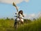 Young attractive black african american tourist woman in traditional Asian hat posing with motorbike in beautiful rice fields and