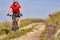 Young attractive cyclist rides on the road in the field in summer season.