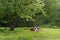 Young attractive european couple with small dog is getting rest on blanket in some summer park at warm sunny day. Beautiful woman