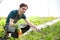 Young attractive farmer harvesting carrots