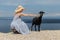 Young attractive female traveler wearing striped summer dress and straw hat squatting, feeding and petting black sheep