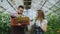 Young attractive florists couple in apron working in greenhouse. Cheerful man with box of flowers talking woman loosen