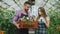 Young attractive florists couple in apron working in greenhouse. Cheerful man walking with box of flowers and talks