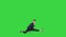 Young attractive male dancer in the strict business suit dancing making a split on a Green Screen, Chroma Key.