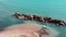 Young attractive man is surfing. Sportive caucasian boy on surfboard. Boy is surfing at seashore. Aerial view of sandy beach with