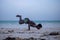 Young Attractive Muscular and Strong Athletic Black African Man at the White Sand Beach Training Body Calisthenics