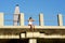 Young attractive surfer girl sitting on pier with surfboard