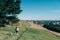 Young attractive walking with a dog in the park Oamaru, New Zealand