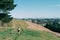 Young attractive walking with a dog in the park Oamaru, New Zealand